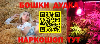 мяу мяу кристалл Тара