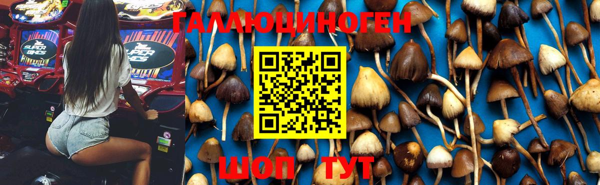 Псилоцибиновые грибы мухоморы  Вход с VPN  Новотроицк 