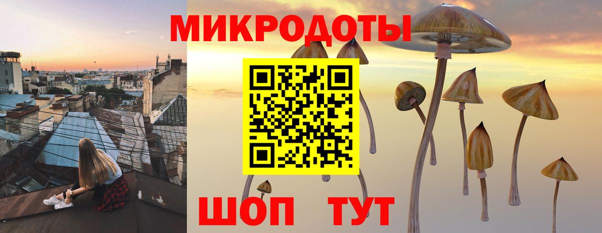 Галлюциногенные грибы ЛСД Новотроицк